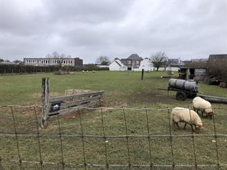 Landbouwgrond Te koop Denderhoutem